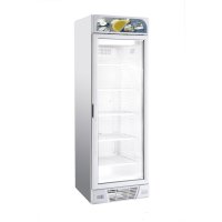 Tiefkühlschrank 1 Glastür 382L